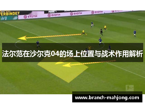 法尔范在沙尔克04的场上位置与战术作用解析