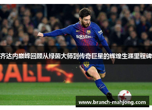 齐达内巅峰回顾从绿茵大师到传奇巨星的辉煌生涯里程碑