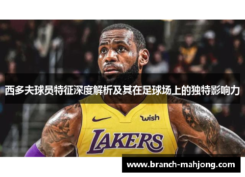 西多夫球员特征深度解析及其在足球场上的独特影响力