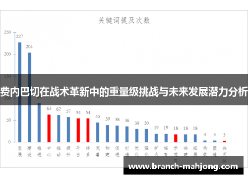 费内巴切在战术革新中的重量级挑战与未来发展潜力分析