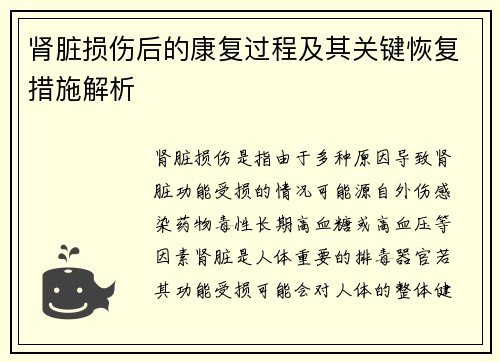 肾脏损伤后的康复过程及其关键恢复措施解析