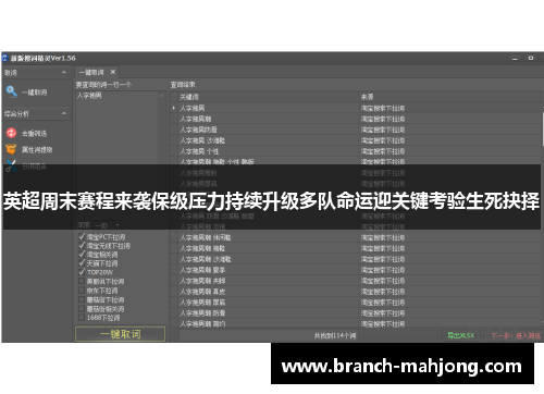 英超周末赛程来袭保级压力持续升级多队命运迎关键考验生死抉择