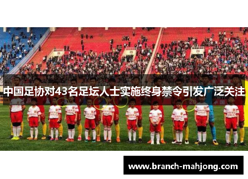中国足协对43名足坛人士实施终身禁令引发广泛关注