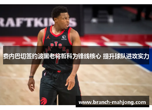 费内巴切签约波黑老将哲科为锋线核心 提升球队进攻实力